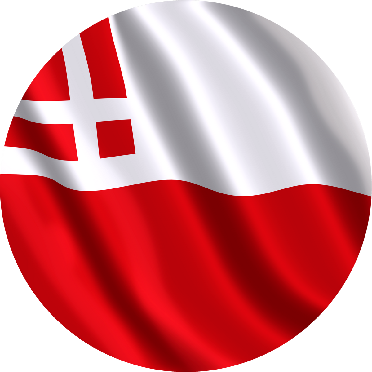 Provincievlag