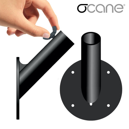 OCANE-Bizz Complete